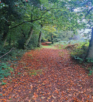 Sentier nature de Château Ganne - Milou - 3
