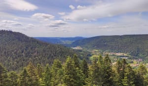 Saut de la Bourrique et Tête de Mérelle à Géradmer - Gérardmer - 33