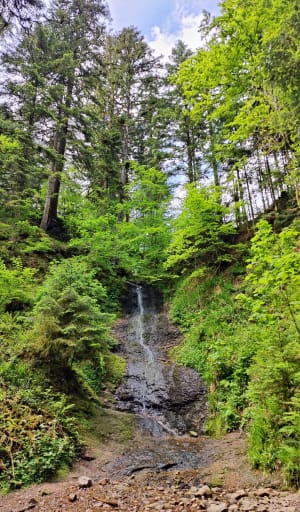 Saut de la Bourrique et Tête de Mérelle à Géradmer - Gérardmer - 36