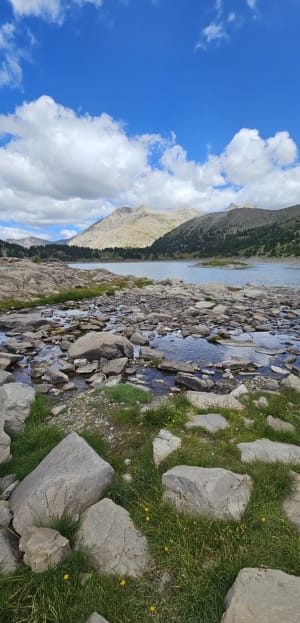 Lac d'Allos et animaux peu farouches - Allos - 2