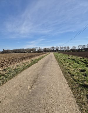 Promenade facile depuis Marly - Marly - 9