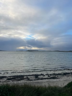 Boucle de l'Aber-Wrac'h au phare de l'île Vierge à Lilia - Guillemette - 14