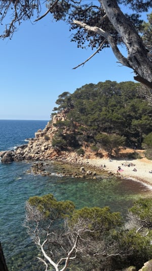 Kustpad van Bandol naar Port d'Alon - Bandol - 40