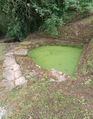 Balade au bord du Loch - Brech - 29