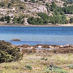 Tour de l'étang de Gruissan et Capoulade - Gruissan - 4
