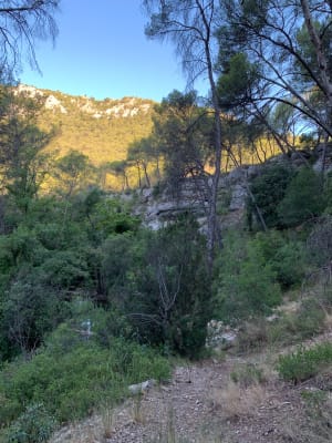 Les Lagets de Sainte Baume - Mickael - 2