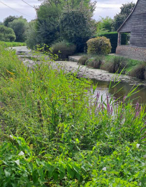 Dans le marais audomarois - Clairmarais - 29