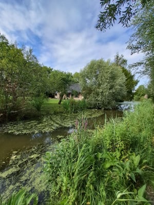 Dans le marais audomarois - Clairmarais - 33