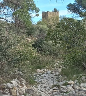 Baixas et son Désert de cailloux - Baixas - 16