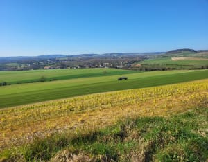 Boucle autour de Licques - Licques - 5