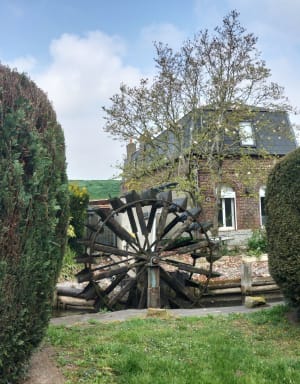 Petite marche à l'étang d'Escaudoeuvres - Escaudœuvres - 11