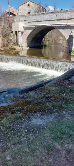 Balade sur les hauteurs de la Séauve-sur-Semène - VERONIQUE - 2