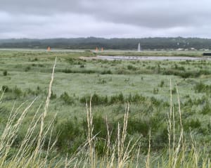 Randonnée a Etaples-sur-mer et Estuaire de la Canche - Étaples - 9