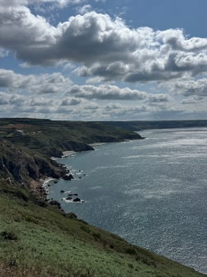 Nez de Jobourg, falaises et bocages normands - Jobourg - 20