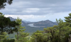 Punta Di a Vacca Morta - Porto-Vecchio - 17
