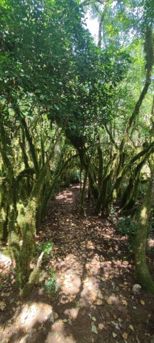 Balade pittoresque vers le Bois de la Blachère - Lablachère - 2