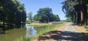 Étang du Puits et petit paradis pour les sorties en famille - Cerdon - 7