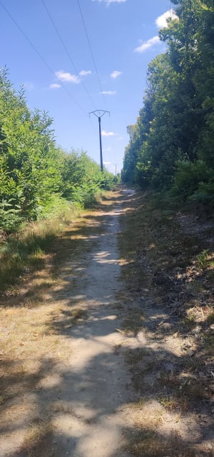 Étang du Puits et petit paradis pour les sorties en famille - Cerdon - 9