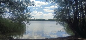 Étang du Puits et petit paradis pour les sorties en famille - Cerdon - 12