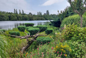 De Bloemenpromenade in Mimizan - Mimizan - 3