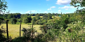 Vigneux-de-Bretagne et agréable sortie en campagne - Vigneux-de-Bretagne - 5