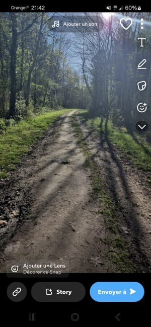 Entre forêt et étang de Jorreau - Gennes-Val-de-Loire - 2