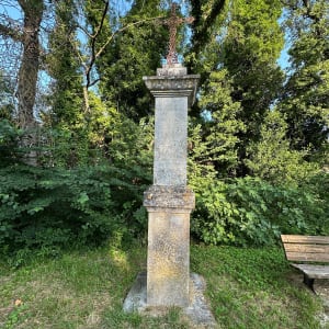 Balade entre sous-bois, champs de lavandes et vignes à Potelières - Potelières - 4
