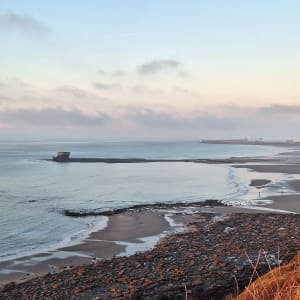 Promenade au Portel, sentier des Douaniers et côte sauvage - Le Portel - 11