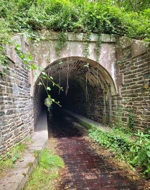 La vallée du Tromorgan - Plougonven - 2