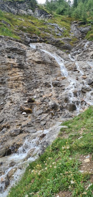 Botanische route van het Bois de la Laye en de Salins-poelen - Tignes - 16