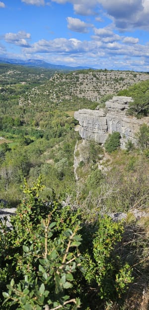 Païolive Wood Trail Circuit - Les Vans - 9
