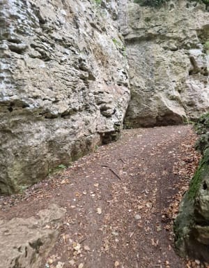 Falaises des Roches Enchantées et bain de nature en Dordogne - Excideuil - 5