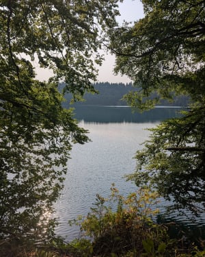 Ronde van het meer van Pavin in Besse-et-Saint-Anastaise - Le Gelat, Besse-et-Saint-Anastaise - 7