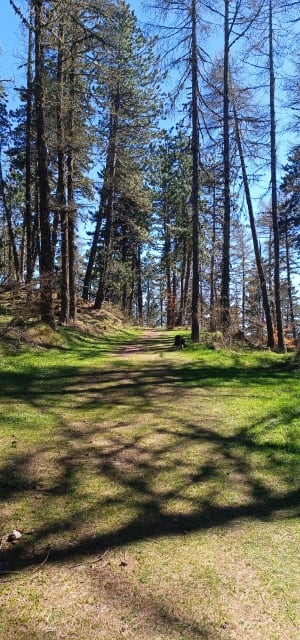 Montée au lac des Barbeyroux - Saint-Bonnet-en-Champsaur - 26