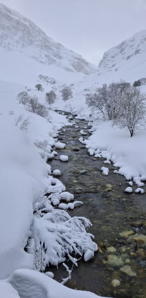 Du front de neige à la vallée du Manchet - Val-d'Isère - 8