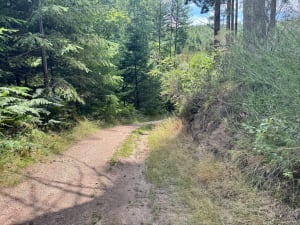 Sentier des crêtes par la patte de Sally - Compreignac - 7