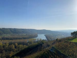Entre eau et vin - Tupin-et-Semons - 20