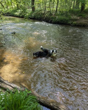 Petit tour à la rivière - Isle - 12