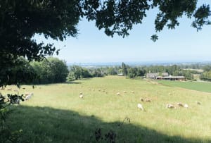 Au cours de La Souleuvre - Souleuvre en Bocage - 9