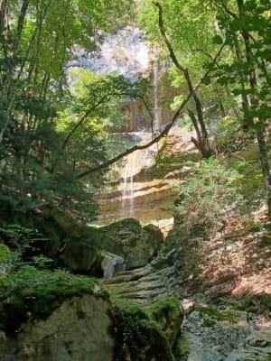Watervallen van Alloix en Tardy Mill Loop in de winter - Saint-Vincent-de-Mercuze - 43