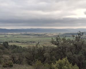 Garrigue Conilhac - Conilhac-Corbières - 2
