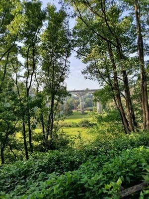 Axe Vert de la Thiérache et sublime viaduc d'Ohis - Ludovic - 2