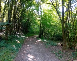 Visite de l'Espace Naturel Sensible de Saint-Victor-de-Morestel - Christine - 4