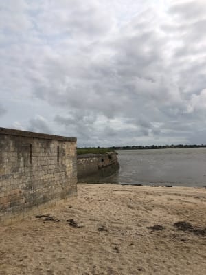 Promenade dans le marais - Fouras - 3
