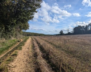 Villemoirieu - Villemoirieu - 11