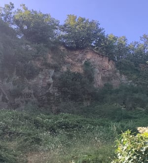 Baade à Mareuil sur Lay - Mareuil-sur-Lay-Dissais - 11