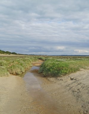 De baai van Maye in Le Crotoy - Le Crotoy - 3
