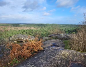 Plaine de Chanfroy Monument des fusillés - Tour de la Vierge - Arbonne-la-Forêt - 7