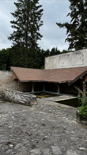 Balade champêtre de Davron à Thiverval et saut de lapin - Davron - 6