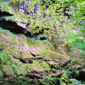 Plongée dans les Gorges du Lison, au pays des crapauds - Éternoz - 5